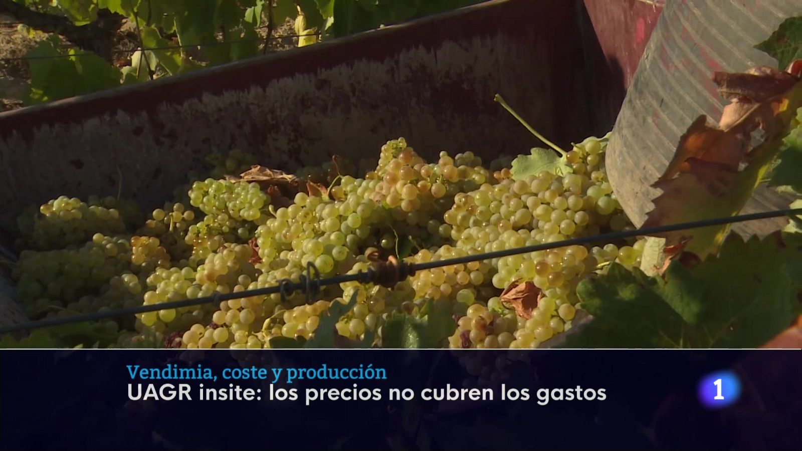 Informativo Telerioja 17-09-2025 - Informativo Telerioja | Ver