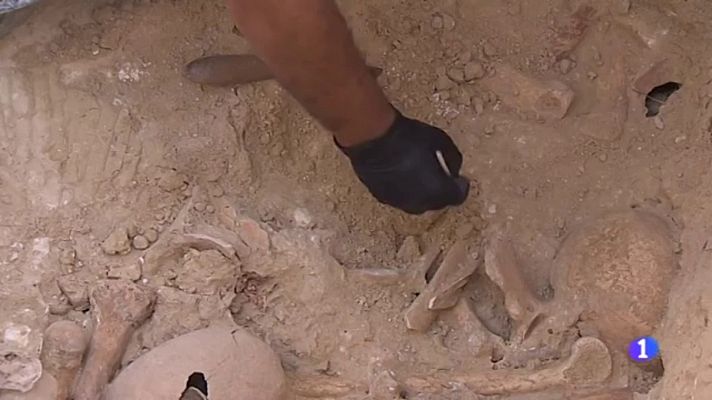 Noticias Andalucía - Exhumación de la fosa de Salteras (Sevilla)