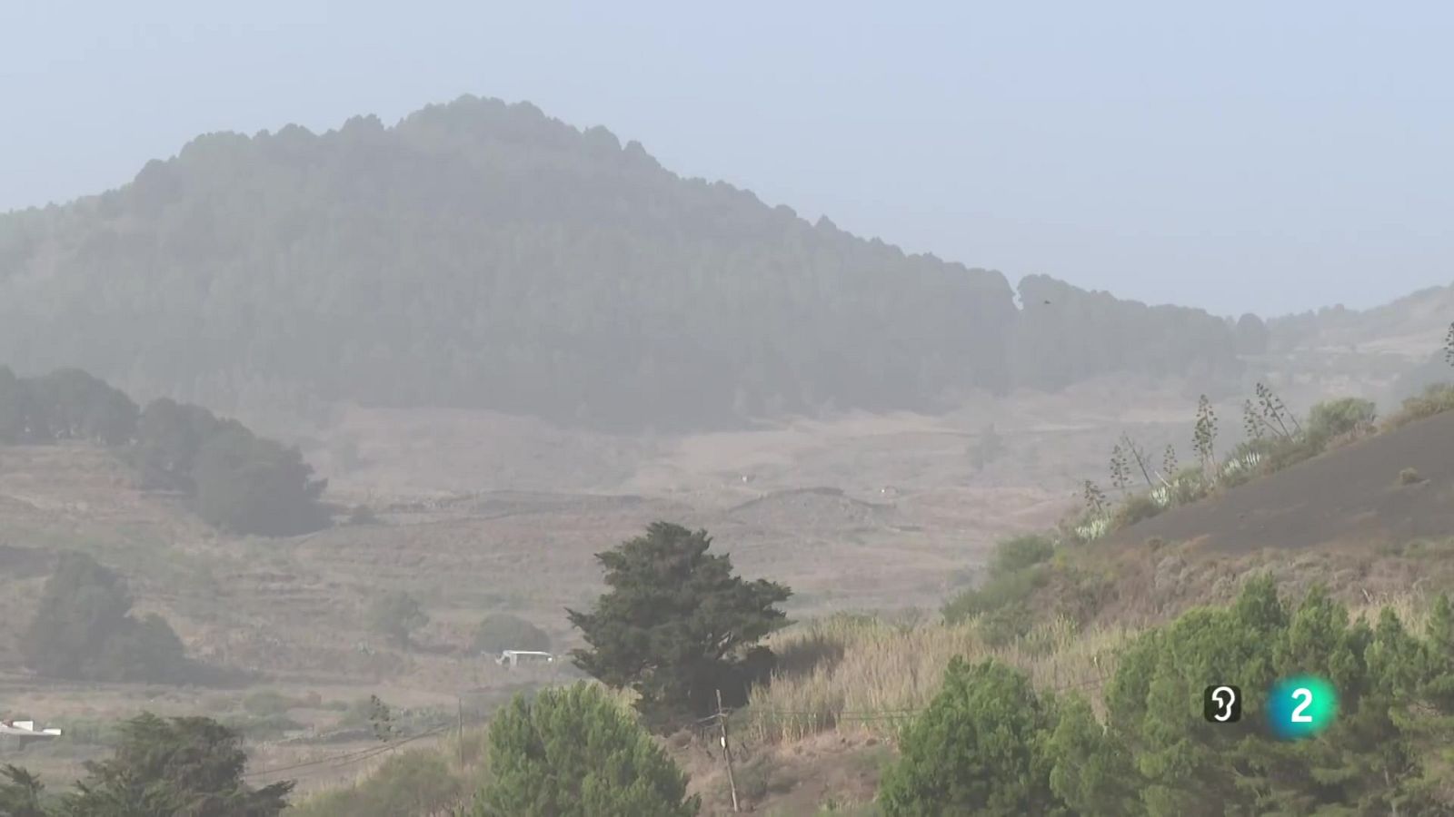 Telecanarias Tarde - 17/09/2025 | Ver