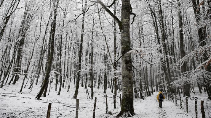 Informativo de Madrid - El tiempo en la Comunidad de Madrid - 23/01/13