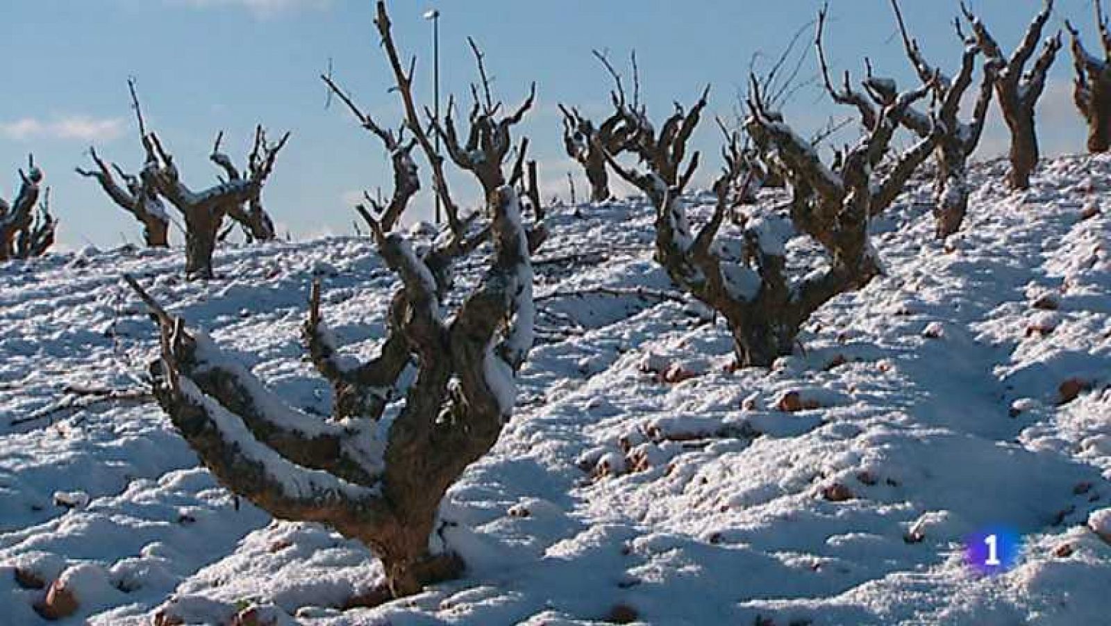 La Comunidad Valenciana en 2' - 23/01/13 - Ver ahora