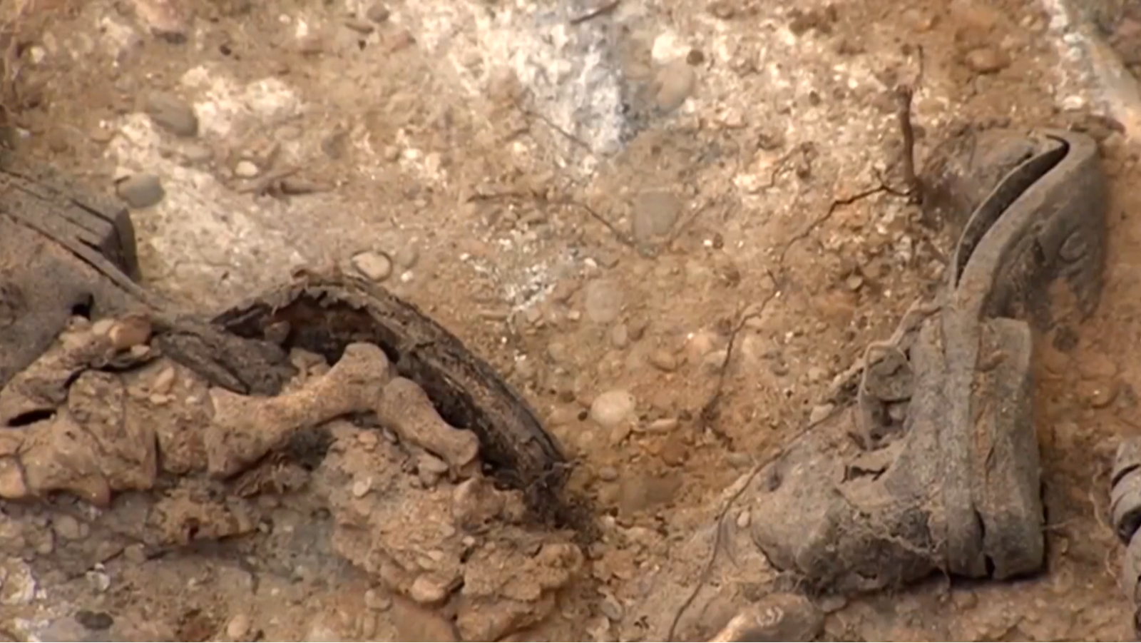 Exhumación de 50 cuerpos en el cementerio del Carmen (Valladolid) | Ver ahora