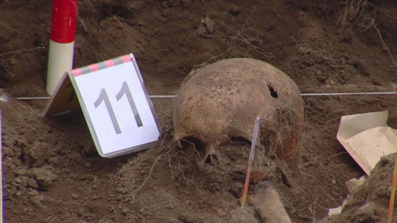Trabajos en la fosa de San Vicente de Fervenzas (Aranga, A Coruña) | Ver ahora
