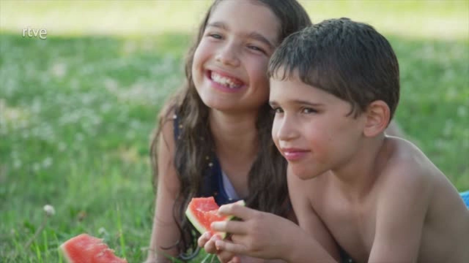 Día Internacional de la Paz | Ver