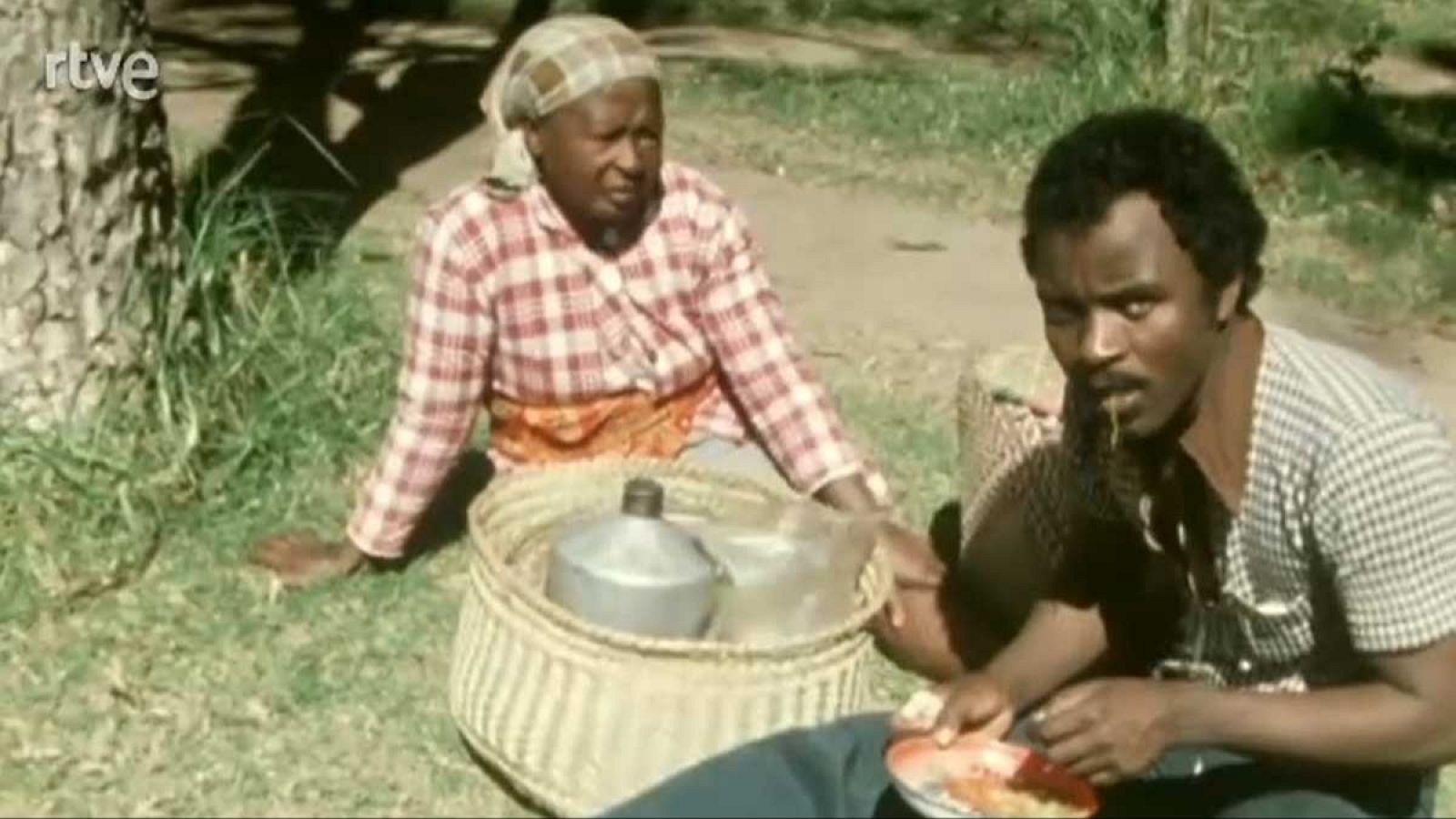 Los reporteros - Madagascar - Fue noticia en el Archivo de RTVE | Ver