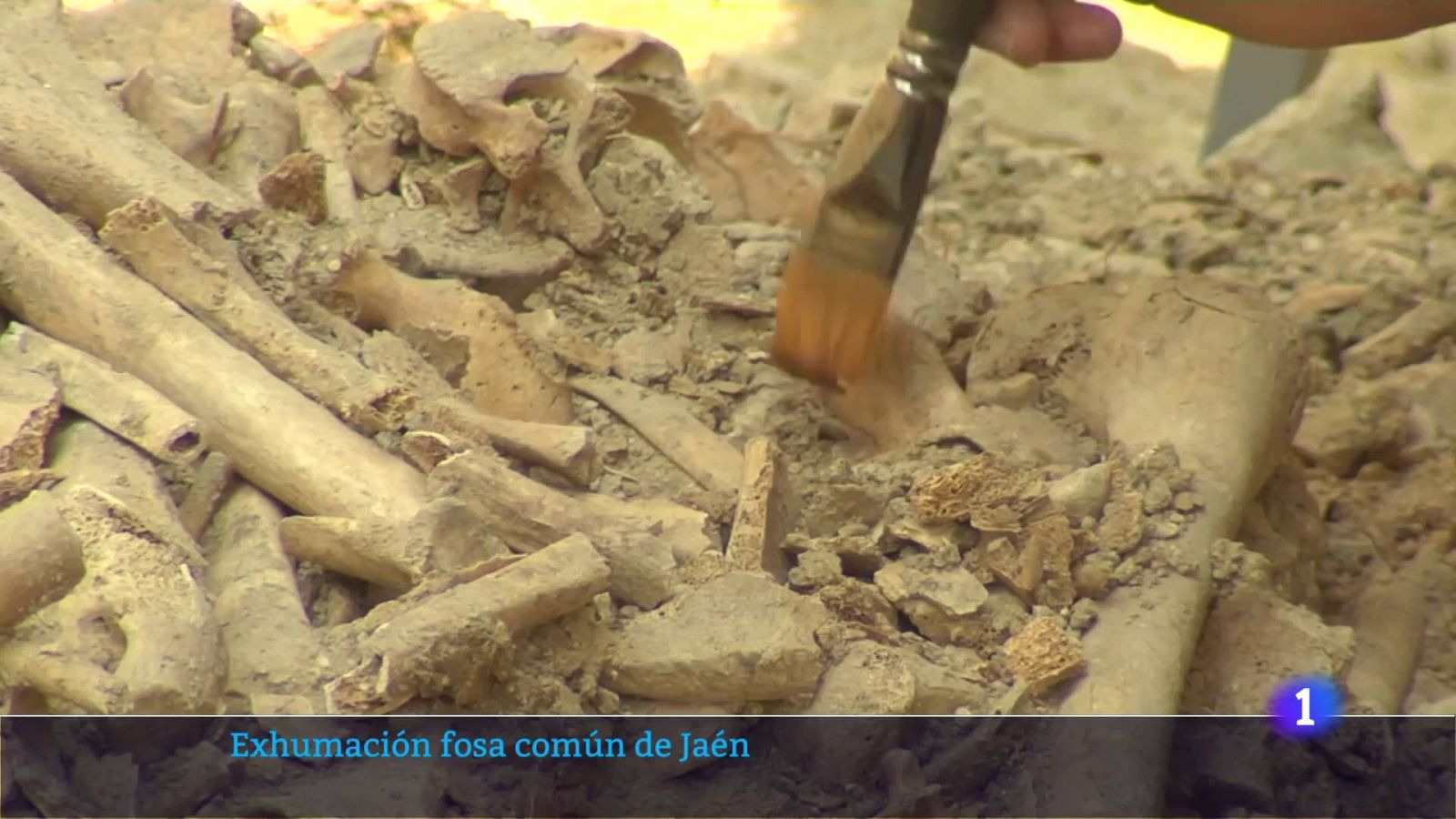 Trabajos de exhumación en la fosa 548 de San Eufrasio (Jaén) | Ver ahora
