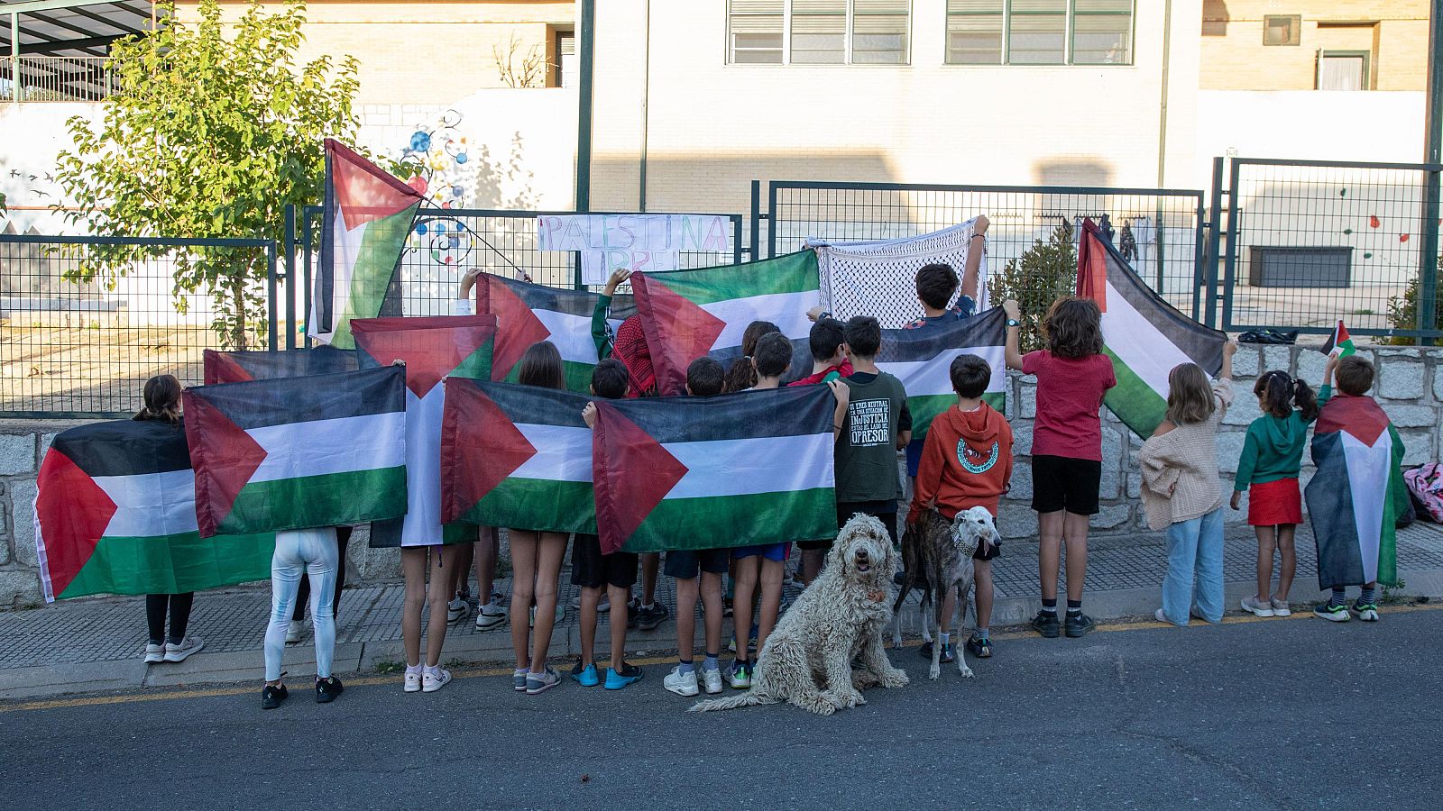 Polémica por los símbolos palestinos en los colegios madrileños | Ver