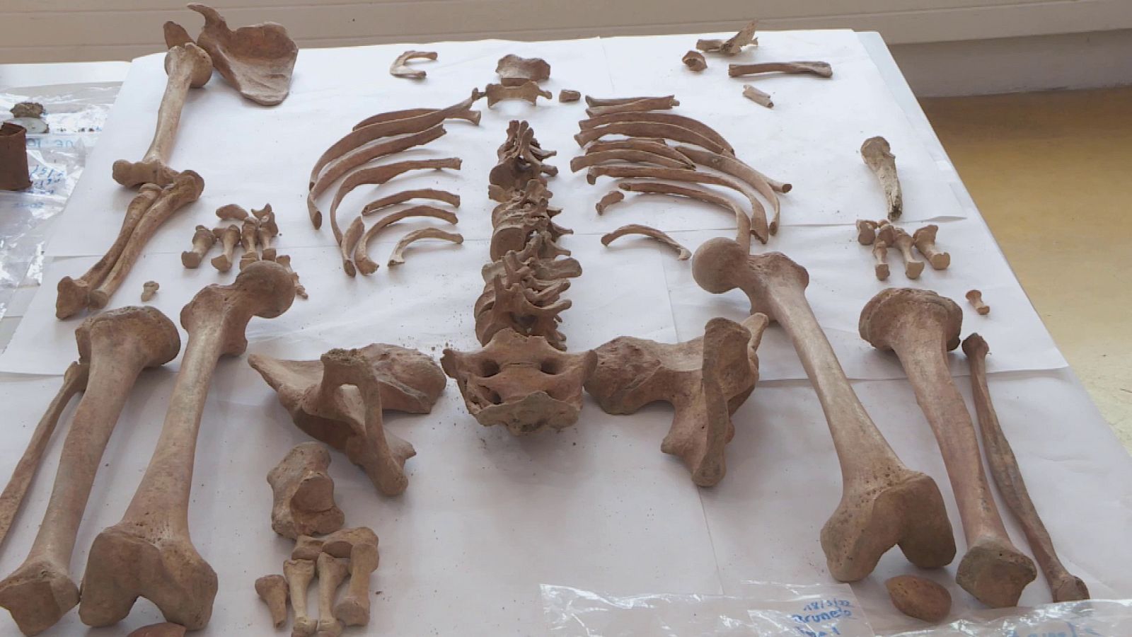 Explicación arqueológica sobre los restos exhumados en Brunete (Madrid) | Ver ahora