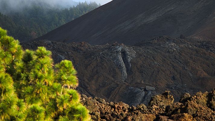 Telediario 2 - El volcán de La Palma, un laboratorio al aire libre cuatro años después de su erupción