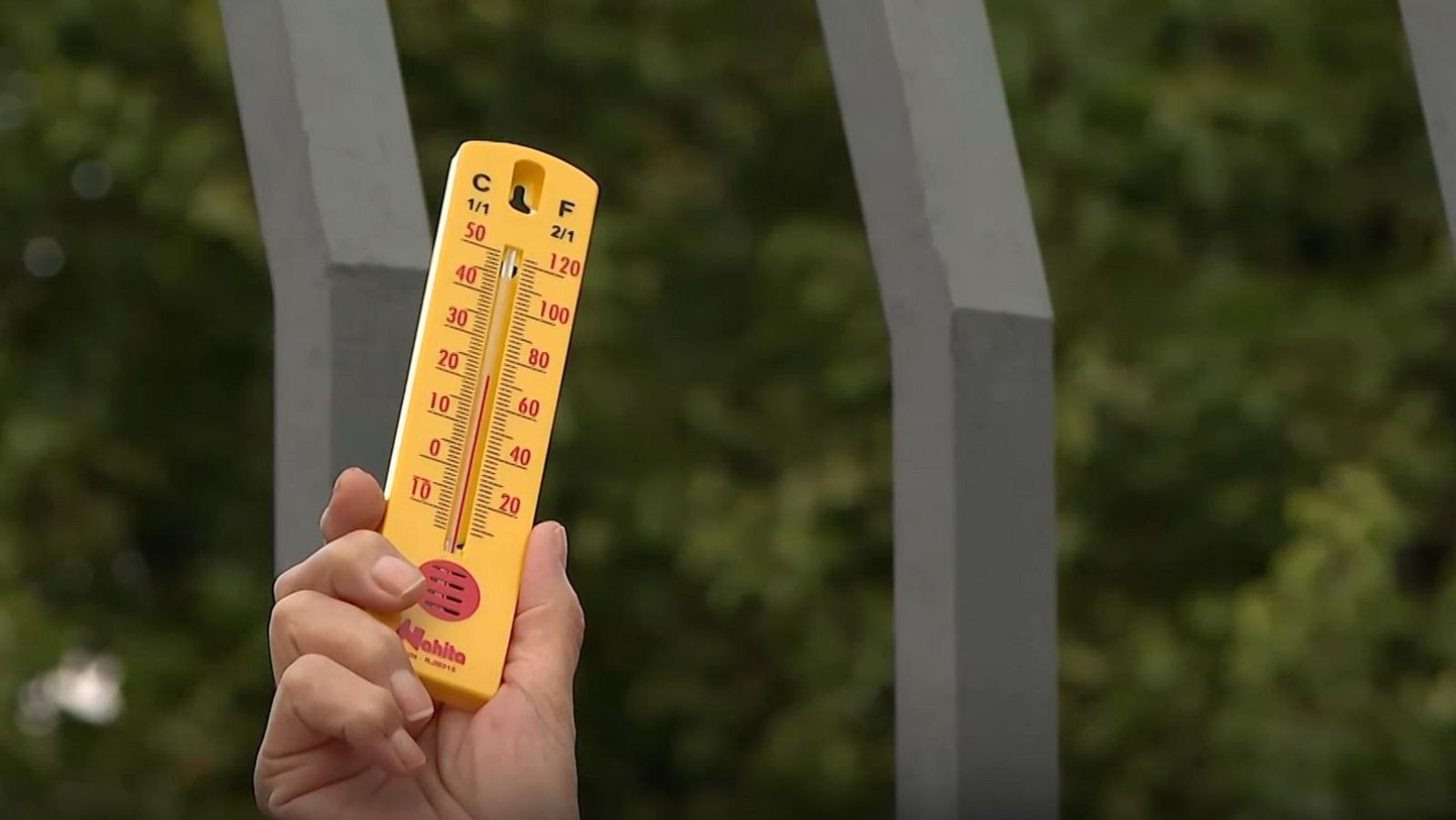 'Termometrada' nacional para medir la temperatura en 60 ciudades | Ver