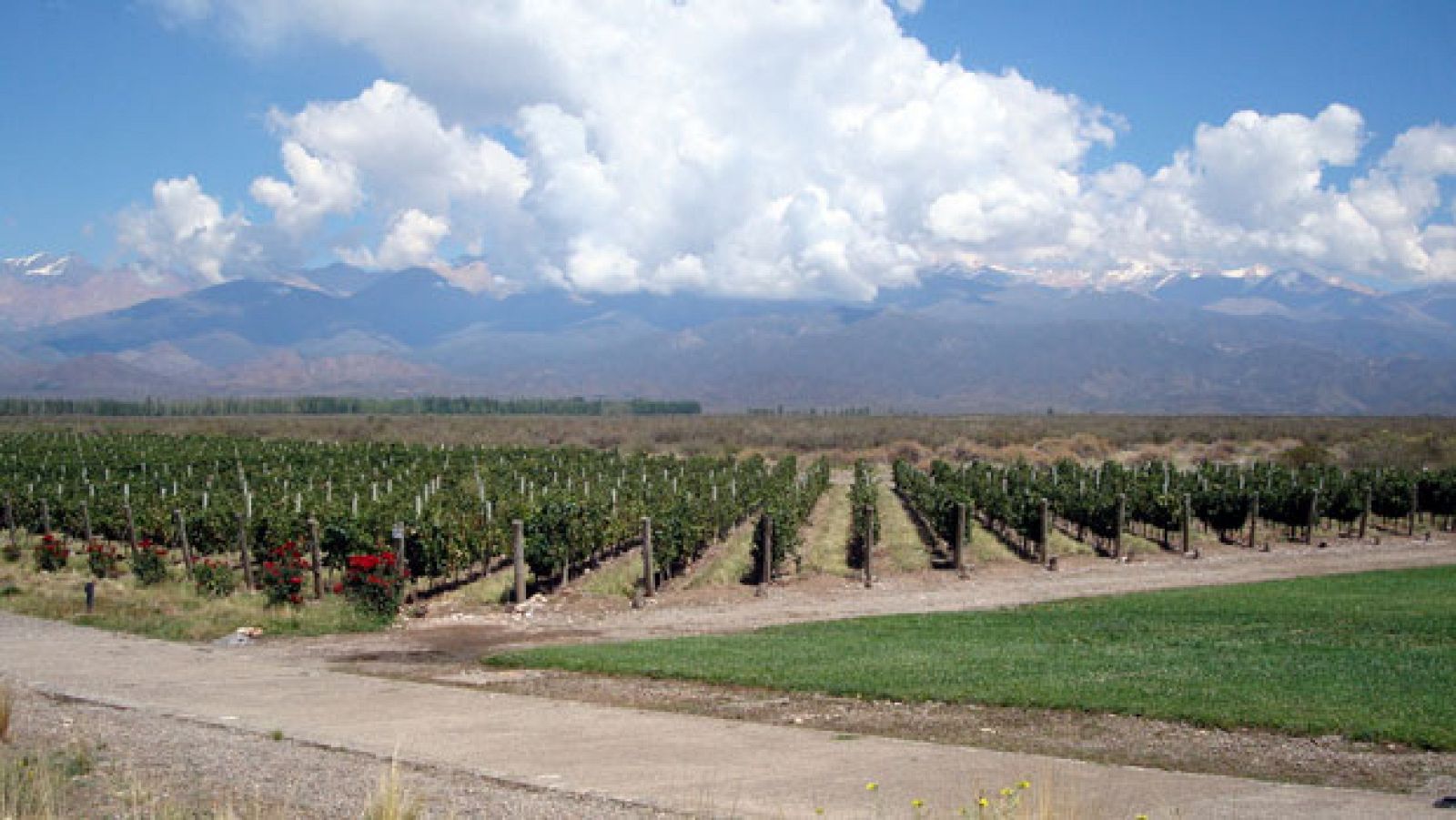 Españoles en el mundo - Mendoza - Ver ahora