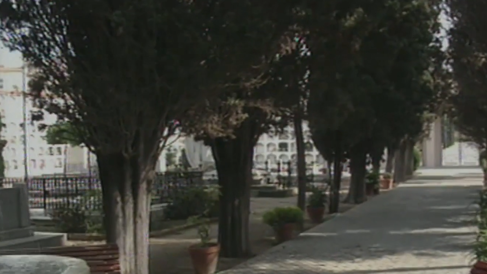 El Vendrell (Tarragona) estudia la apertura de una fosa en su cementerio | Ver ahora