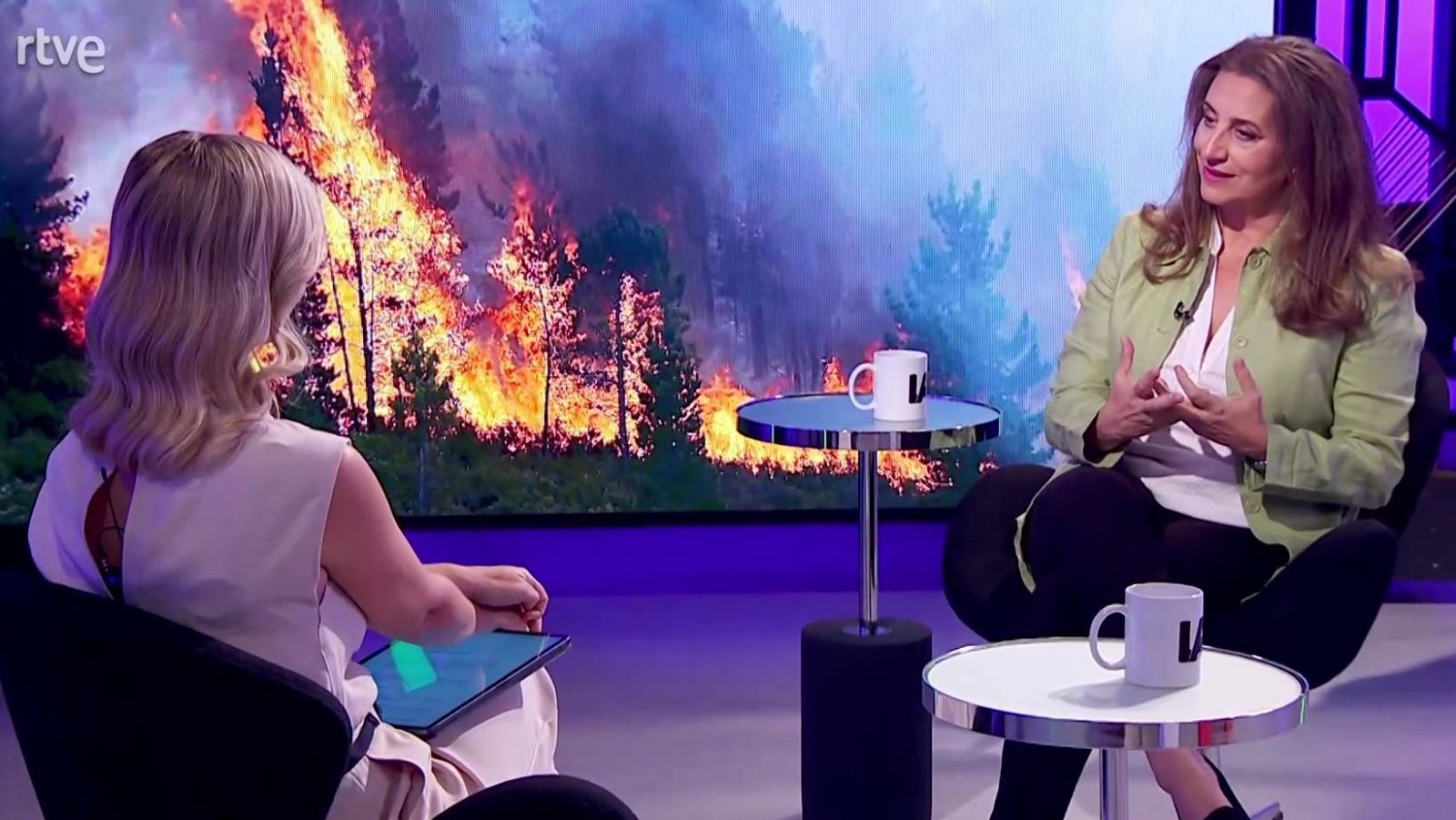 Laura Rojas-Marcos. La salud mental y los incendios | Ver