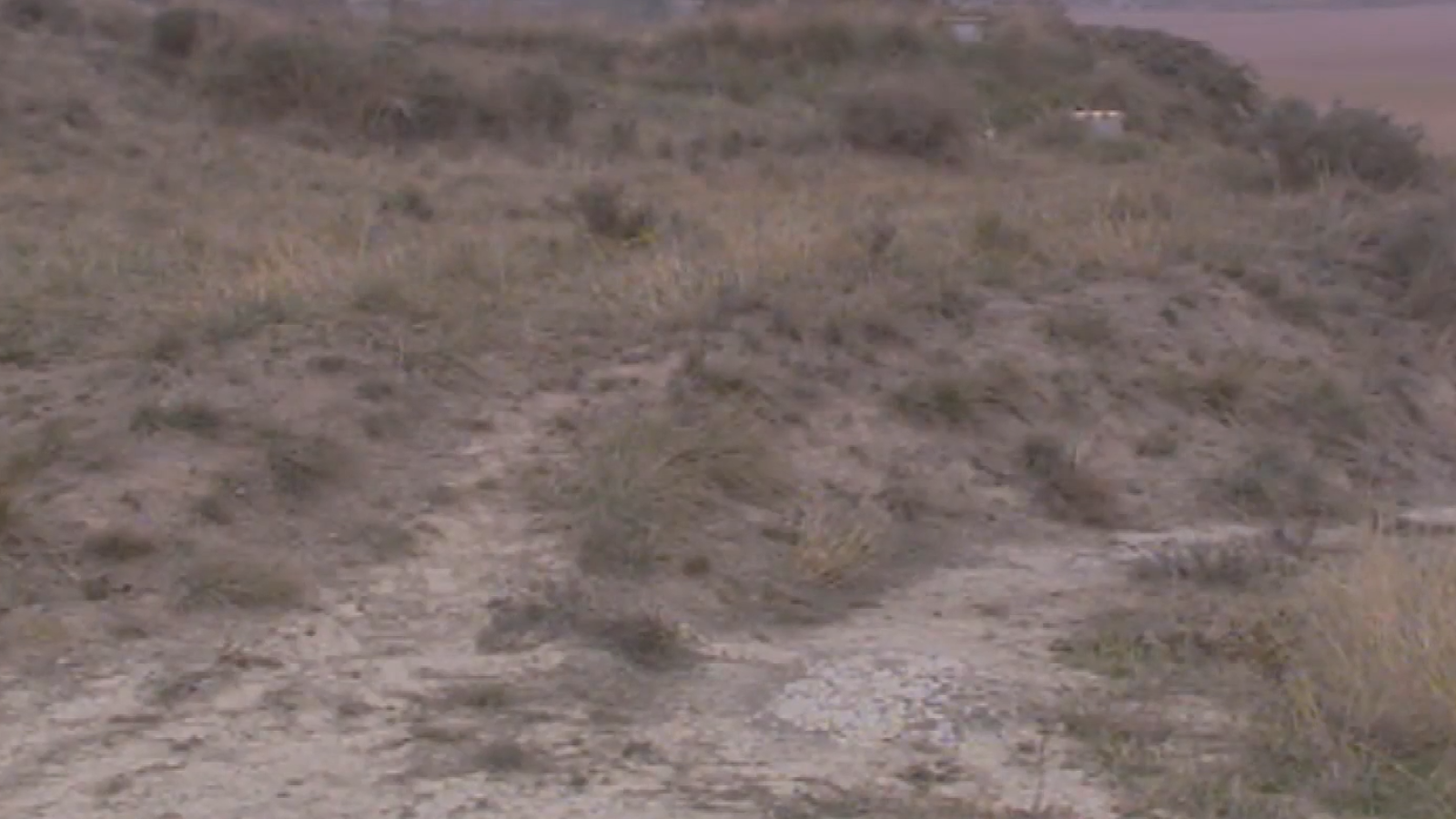 Resultados de la fosa de Puigvistós (Barcelona), la primera en Cataluña | Ver ahora