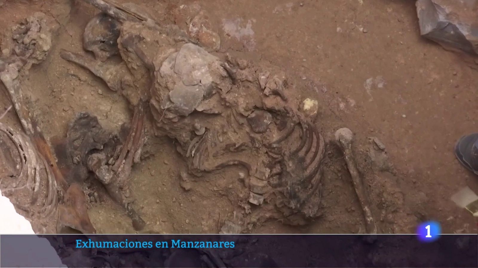Exhumación de fosas en el cementerio de Manzanares (Ciudad Real) | Ver ahora