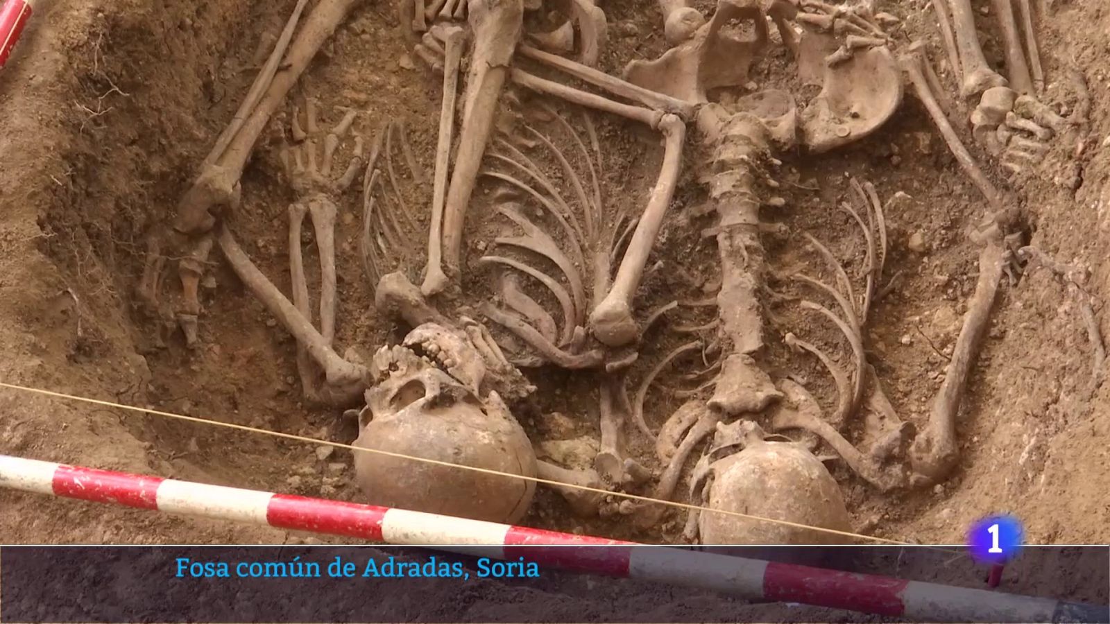 Exhumación en el paraje del Estrecho del muerto (Adradas, Soria) | Ver ahora