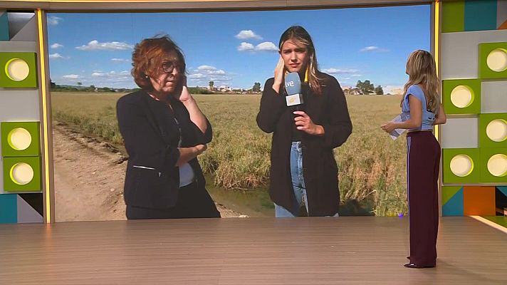 L'altaveu - L'impacte del temporal al Delta de l'Ebre