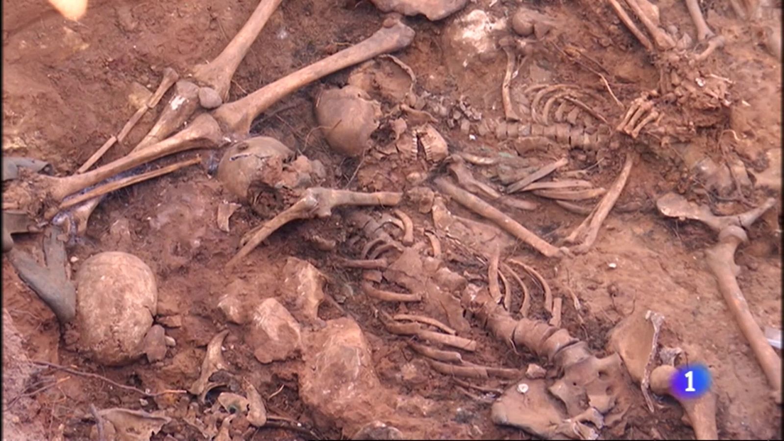 Exhumación de la fosa en el barrio de Las Casas (Soria)  | Ver ahora