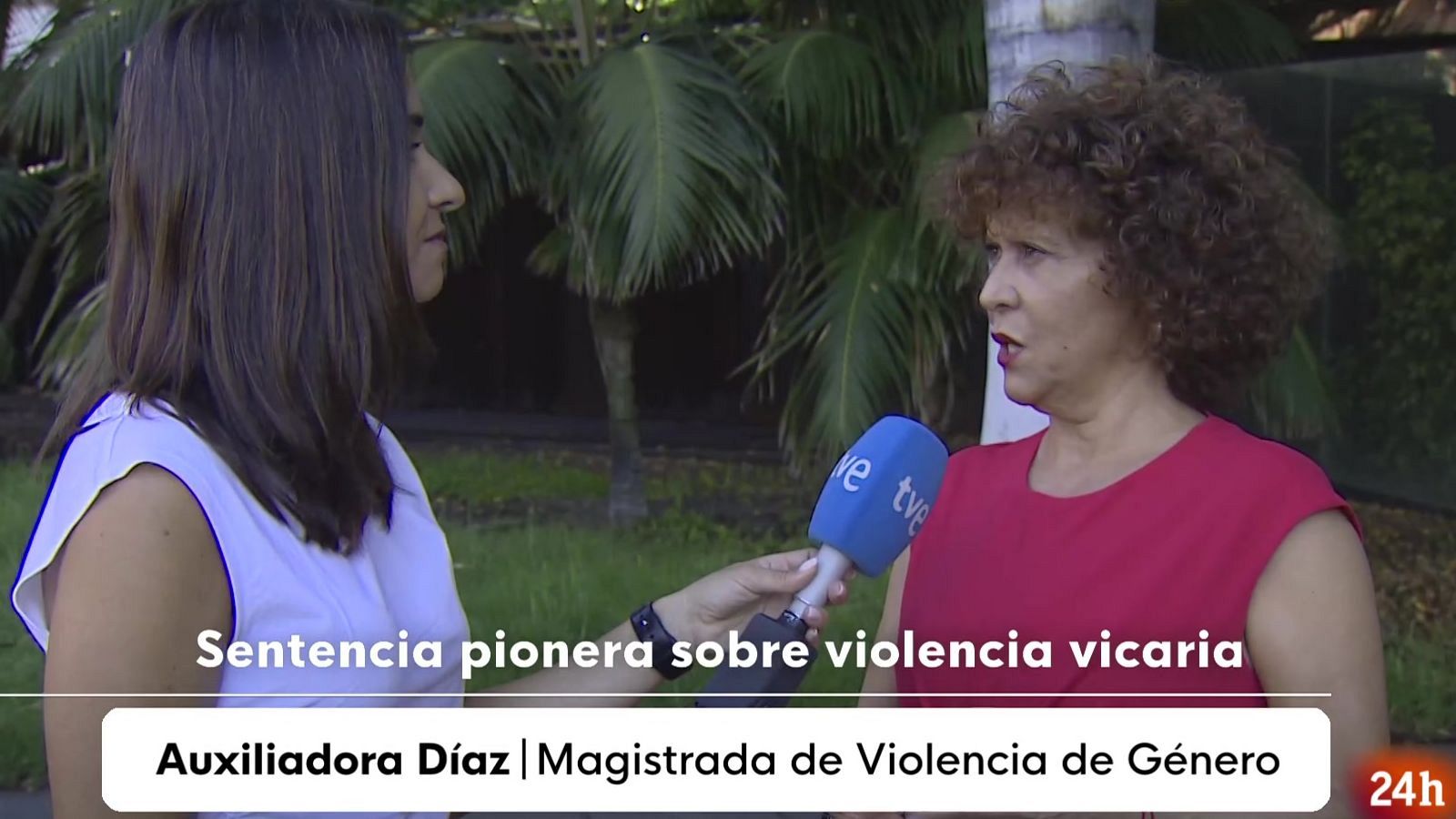 Sentencia novedosa por matar al perro de la víctima como violencia vicaria - Informativo 24h | Ver