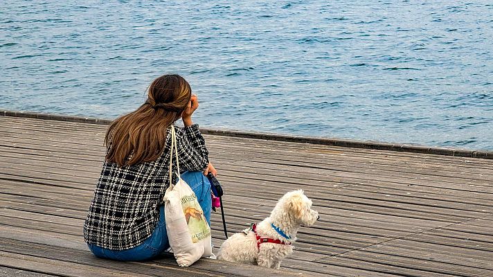 Telediario 1 - Primer caso de violencia vicaria por matar al perro