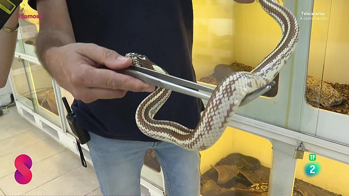 Somos 8 - Somos 8 - 24/09/2025