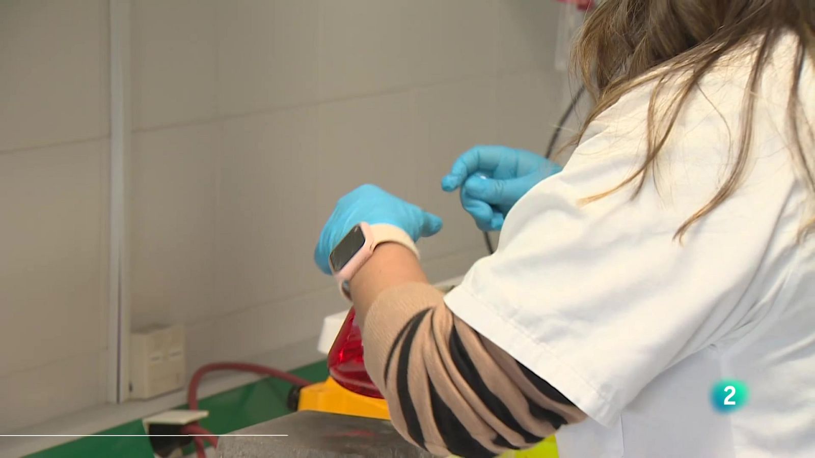 Telecanarias Tarde - 24/09/2025 | Ver