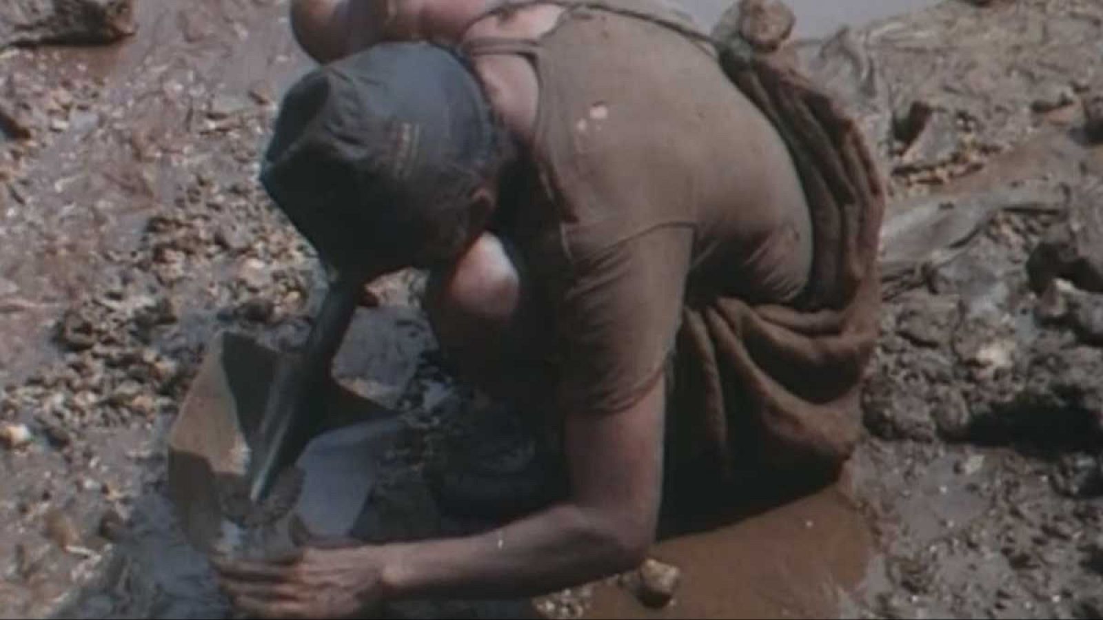 Los frutos de El Dorado - El oro - Los frutos de El Dorado | Ver