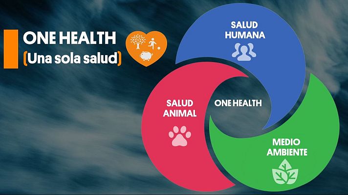 La aventura del Saber - Ricardo Moure.  ‘One Health’