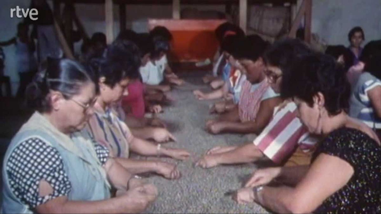 Los frutos de El Dorado - El café - Los frutos de El Dorado | Ver