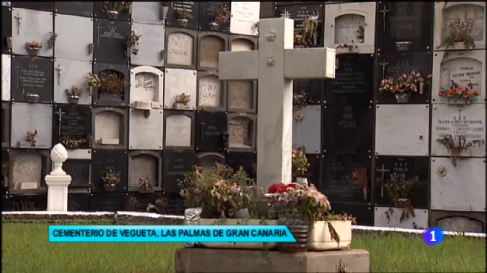 Fosa del cementerio de La Vegueta en Las Palmas de Gran Canaria | Ver ahora