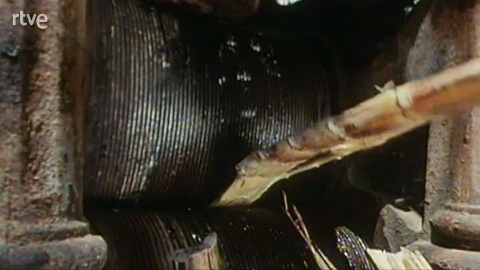 Los frutos de El Dorado - El azúcar - Los frutos de El Dorado | Ver