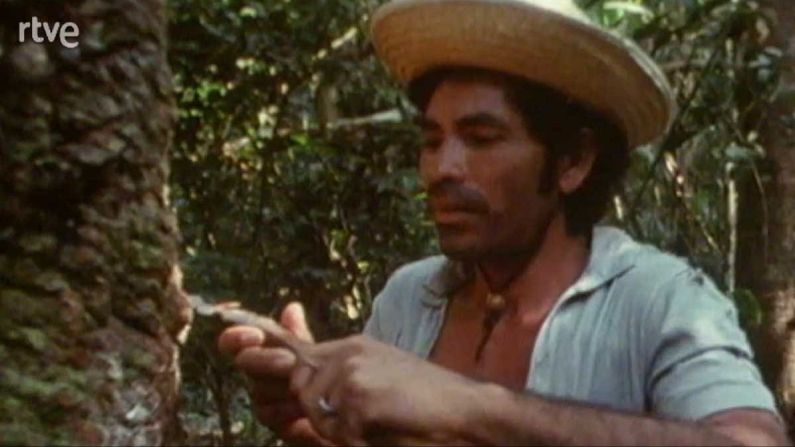 Los frutos de El Dorado - El caucho - Los frutos de El Dorado | Ver