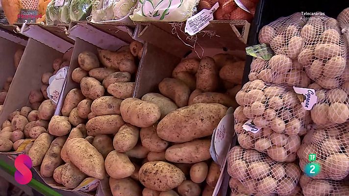 Somos 8 - Somos 8 - 25/09/2025