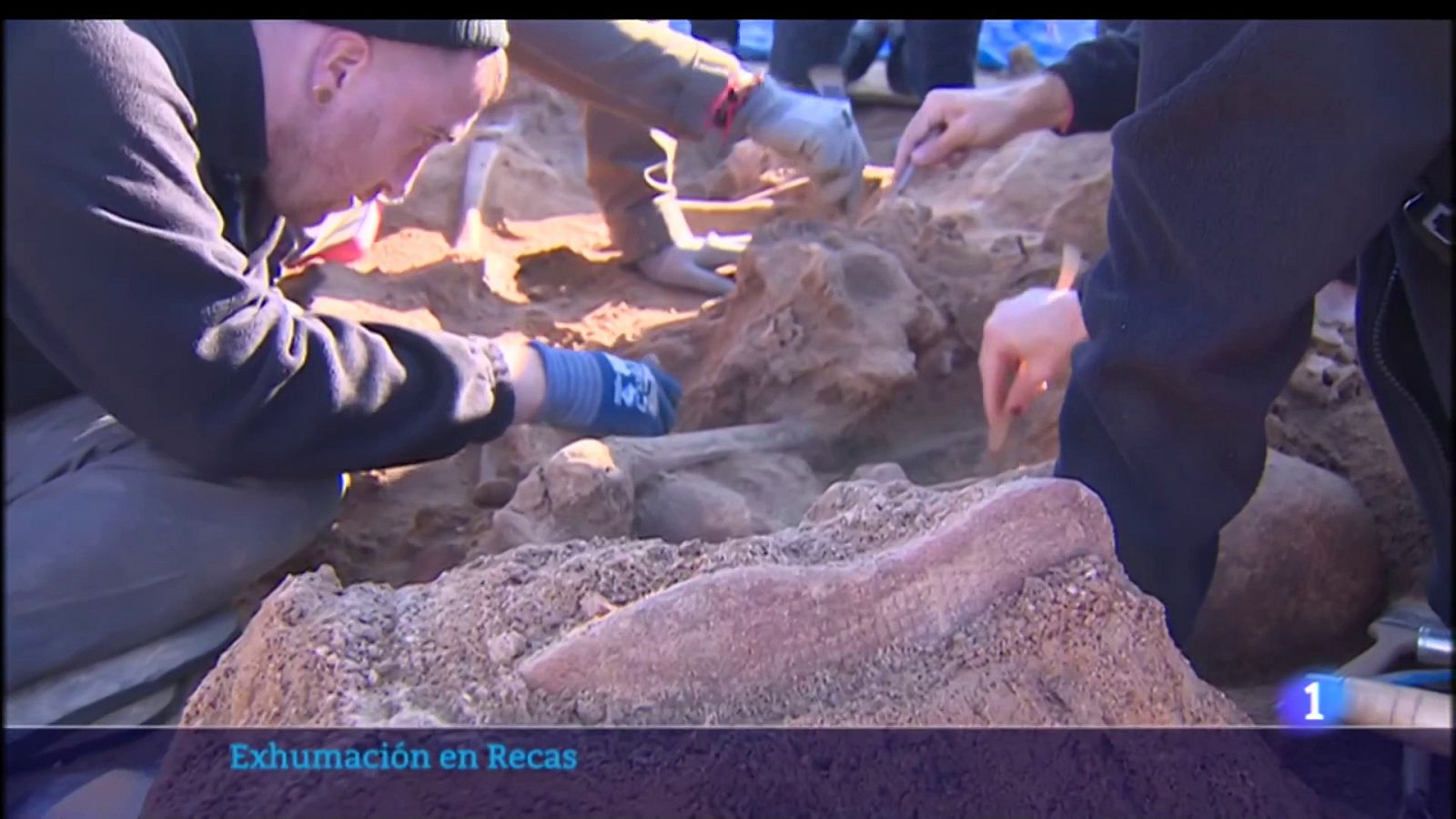 Exhumación de una fosa en el paraje Los Tintos (Recas, Toledo) | Ver ahora