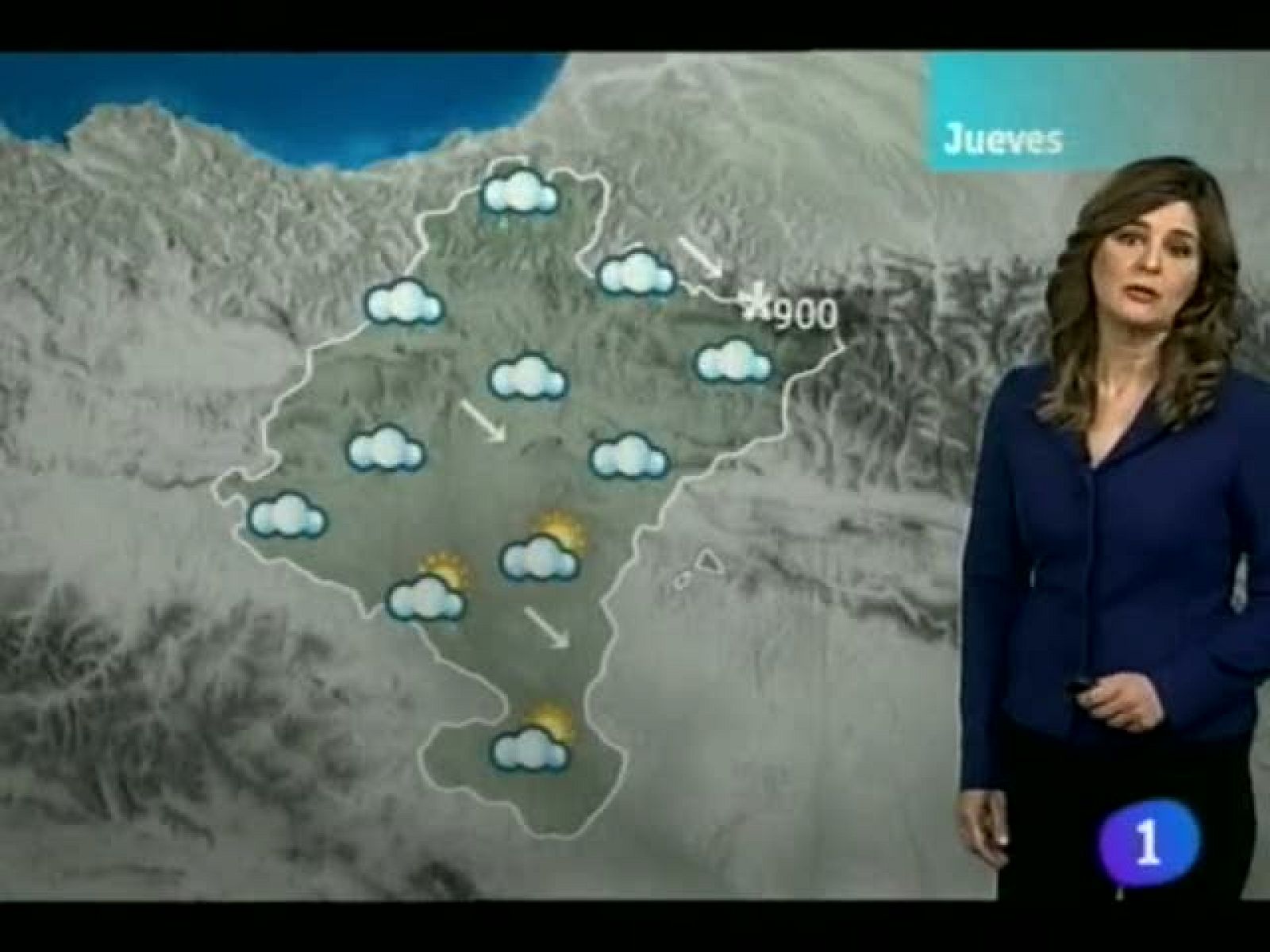 Telenavarra: El Tiempo en la Comunidad de Navarra - 24/01/13 | RTVE Play