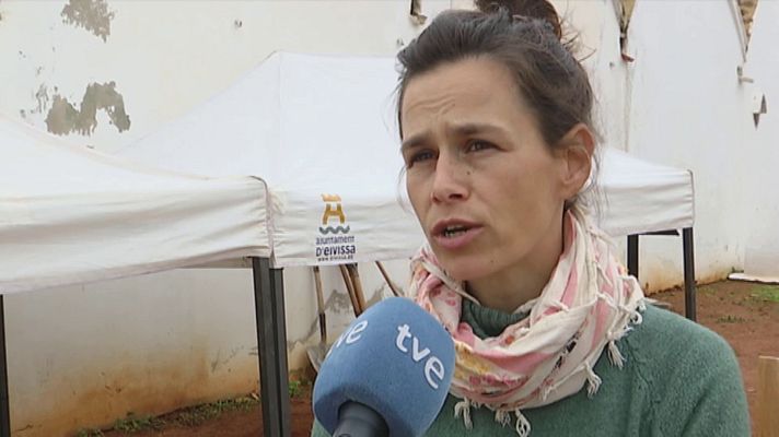 Informatiu Balear - Exhumación en una fosa del cementerio de Ses Figueretes (Ibiza)