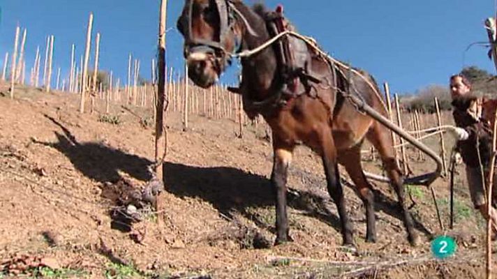 Para todos La 2 - Para todos La 2 - 24/01/13