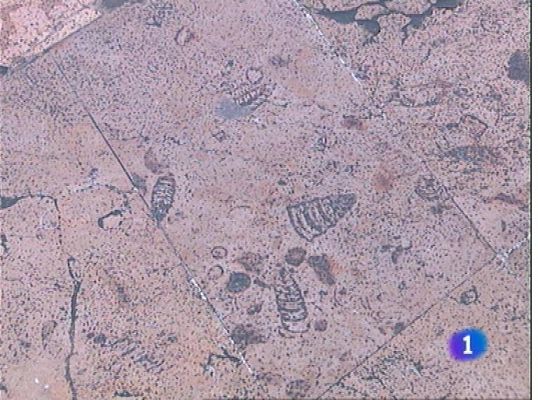 Panorama Regional - Panorama Regional 2 - 24/01/13