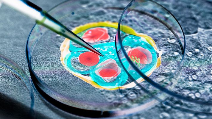 La tarde en 24h - MultiplexAI, un proyecto para detectar la malaria con un móvil