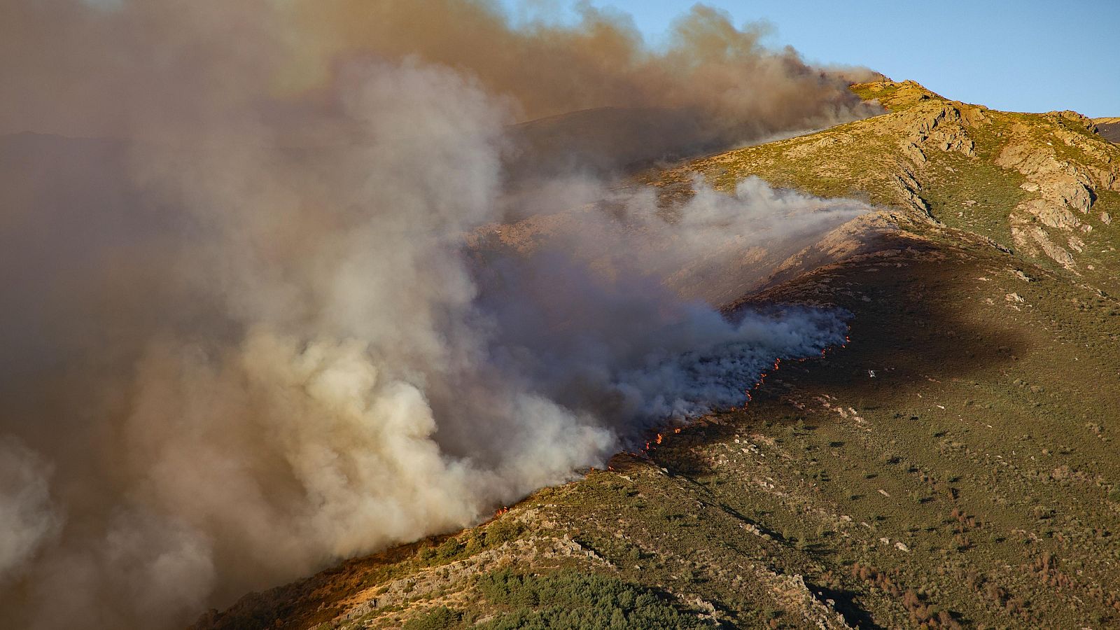 Incendio en Peñalba de la Sierra, Guadalajara | Ver