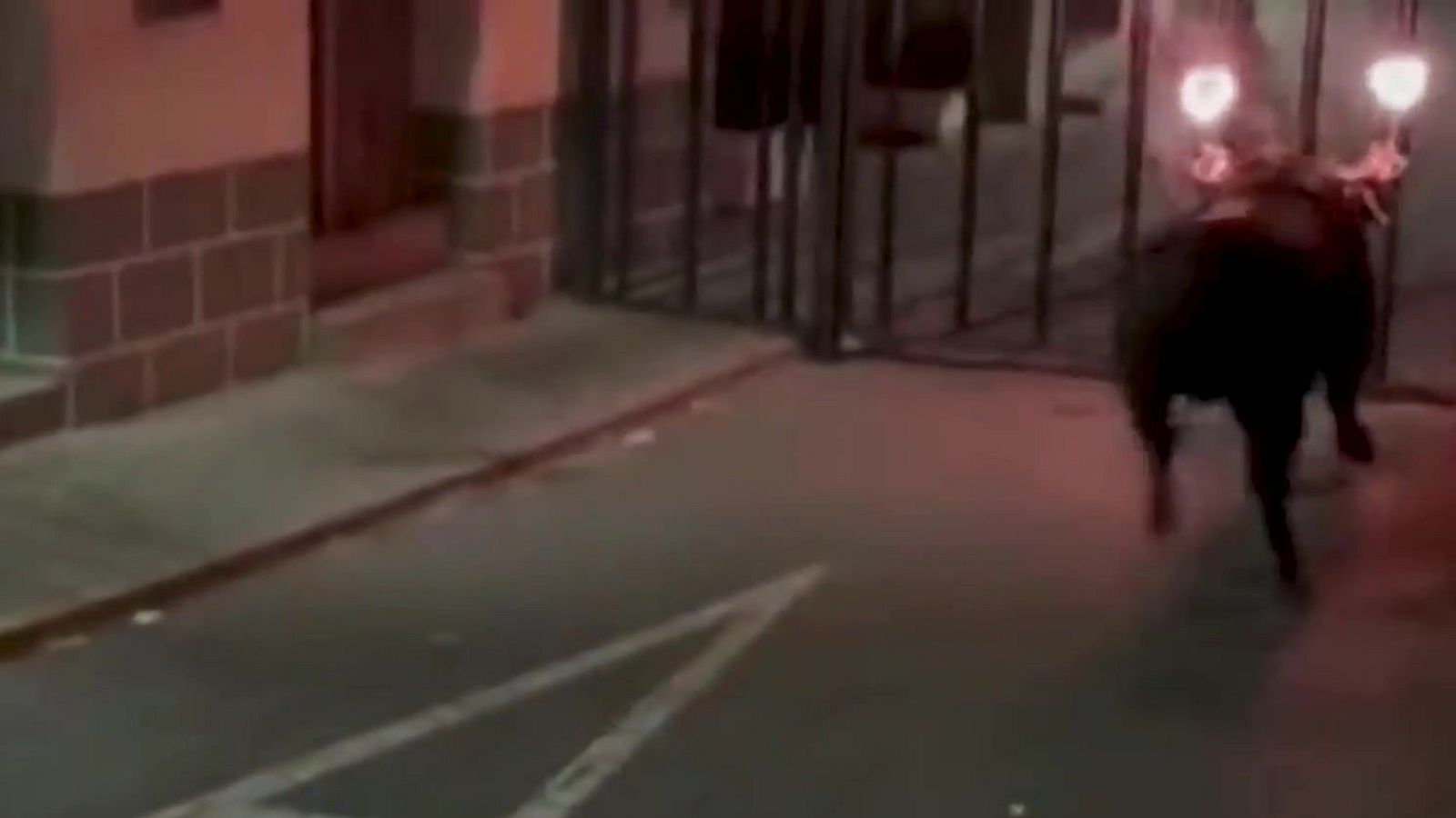 Pánico por toro embolao en Xérica - Mañaneros 360 | Ver