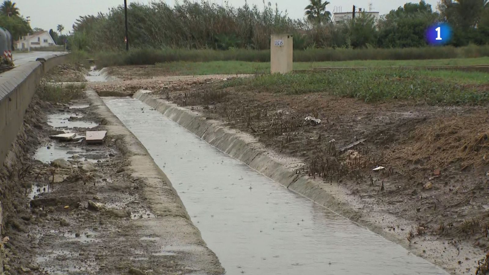 L'Informatiu 2 - 29/09/2025