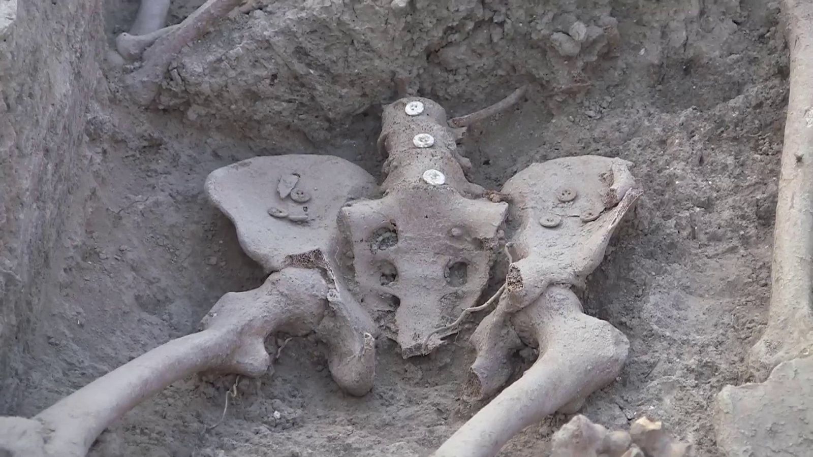 Exhumación de la fosa de los maestros en Cobertelada (Almazán, Soria) | Ver ahora