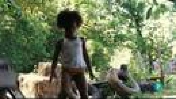 Días de cine - Días de cine: 'Bestias del sur salvaje'