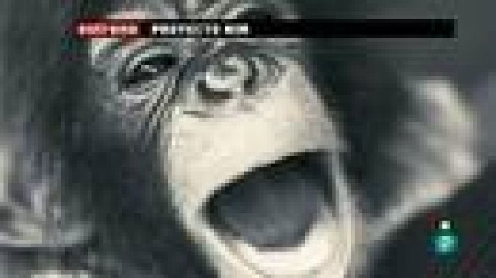 Días de cine - Días de cine: 'Proyecto Nim'