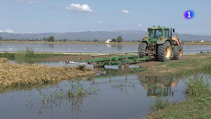 L'Informatiu - L'Informatiu - 30/09/2025