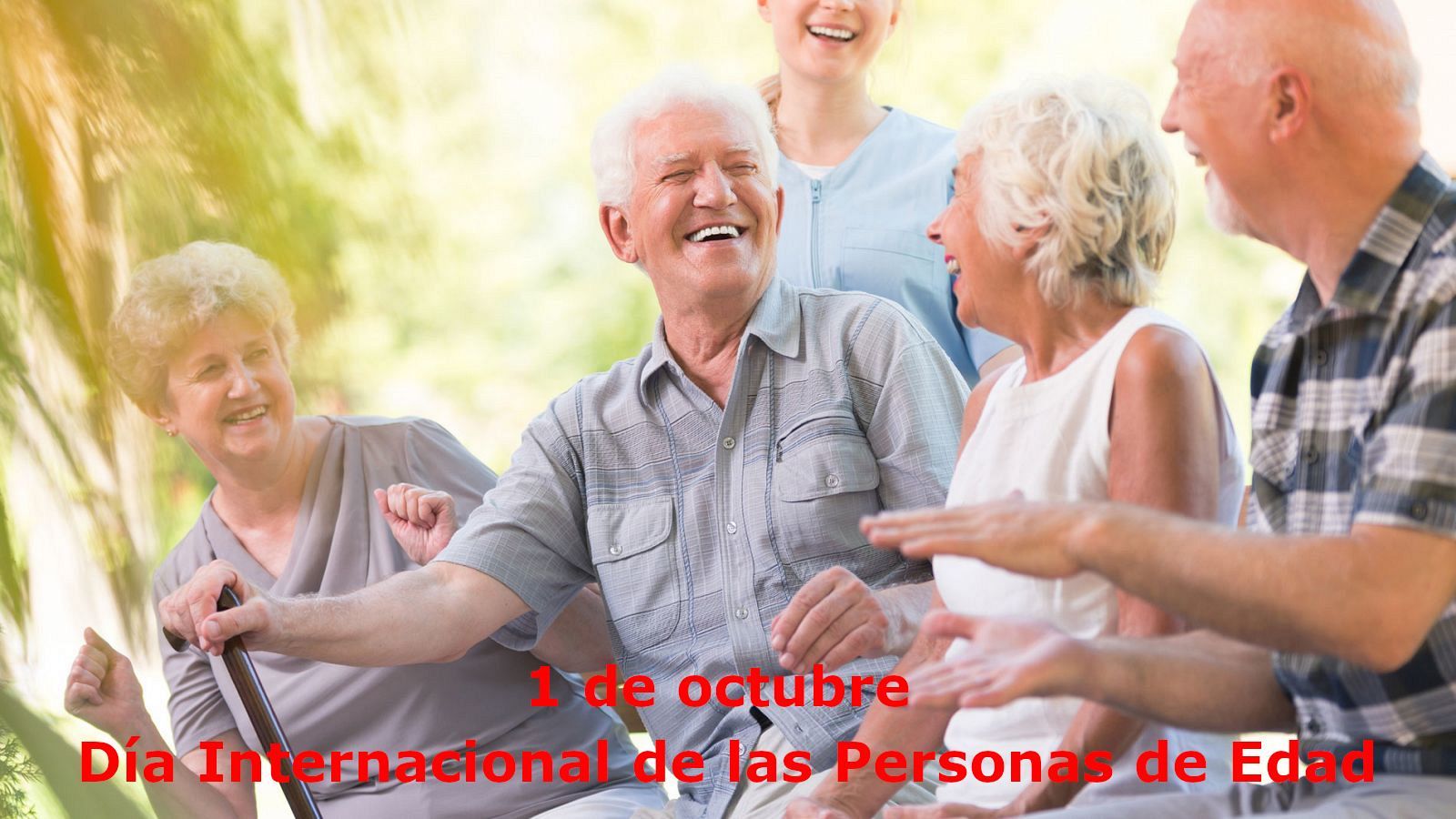 Día Mundial de las Personas de Edad | Ver