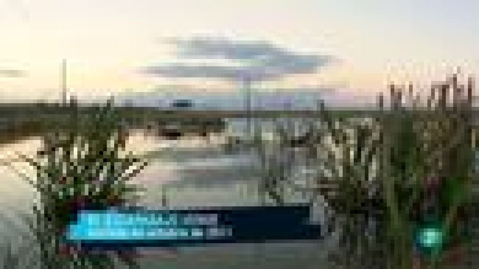 Para Todos La 2 - Debate - Especies invasoras