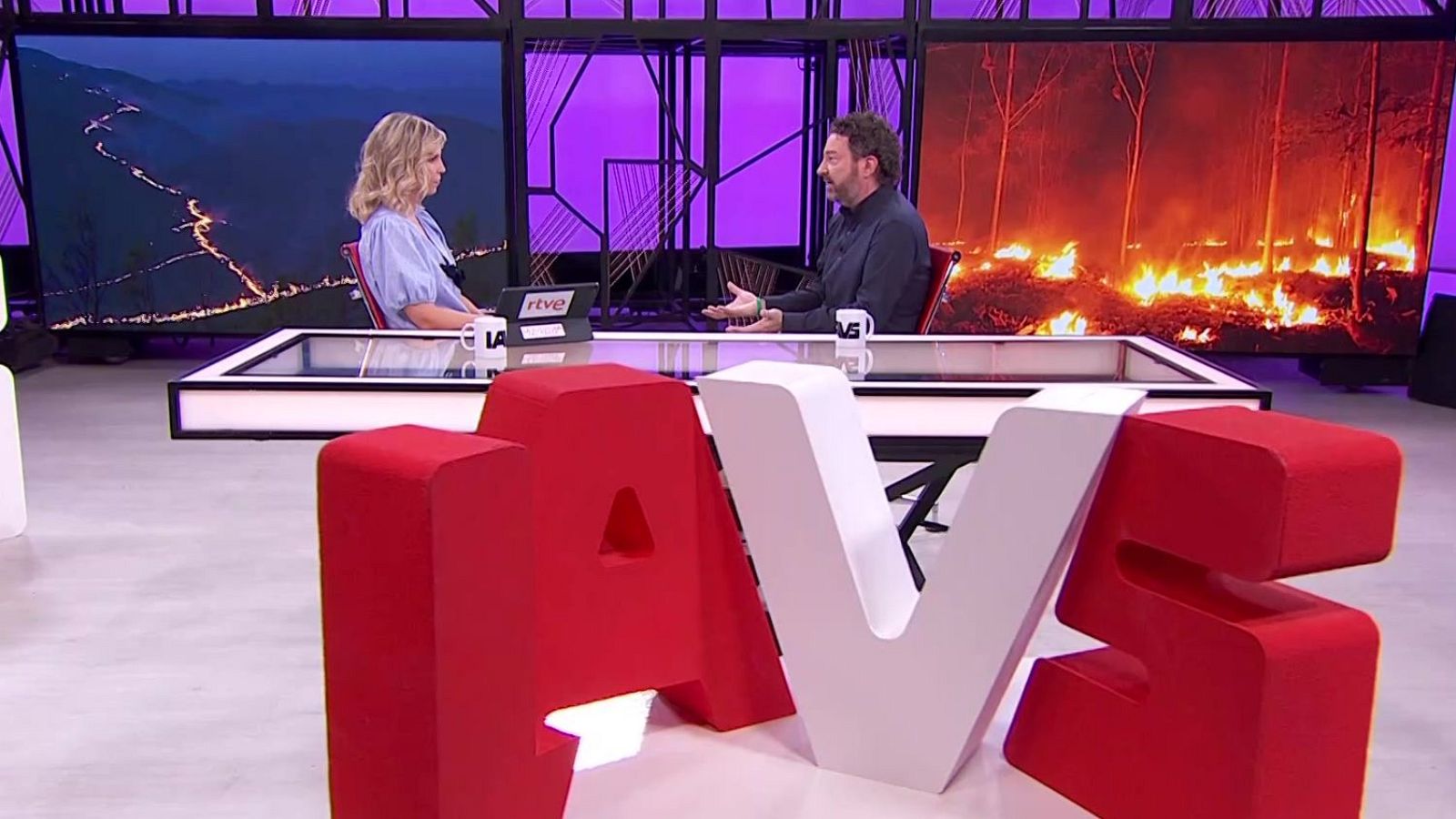 Javier Madrigal. La recuperación de las zonas quemadas | Ver