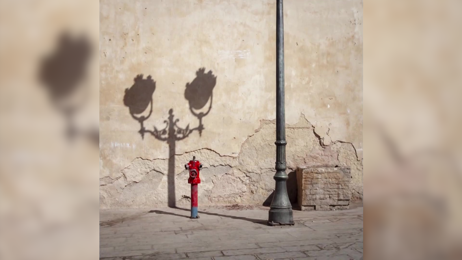 Boek visual: Miguel Ángel Blanco | Ver